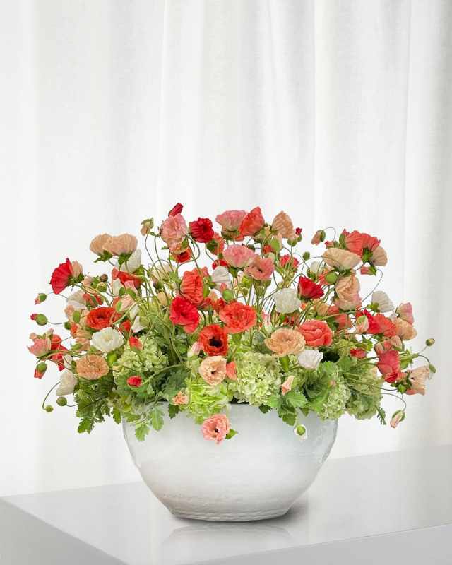 Mixed Poppies in Terracotta Pot, 48"